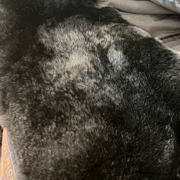 Selling Woolrich coat
Good condition, no damage at all - Picture 7 of 15